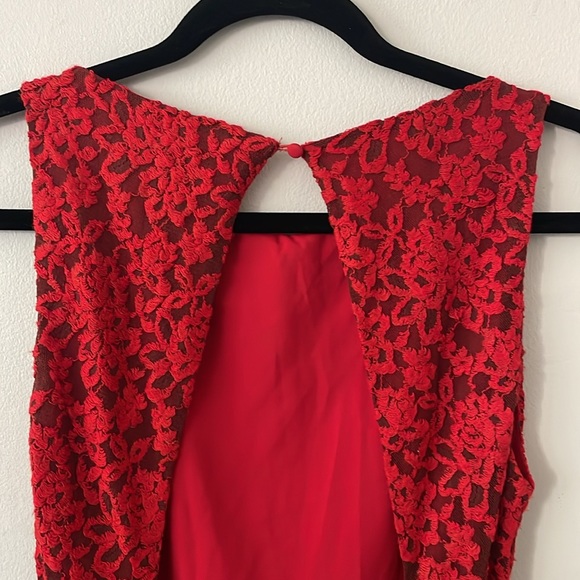 Alice + Olivia Crimson Lace Maxi Dress - Picture 10 of 11